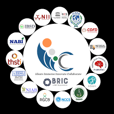 I3c Bric